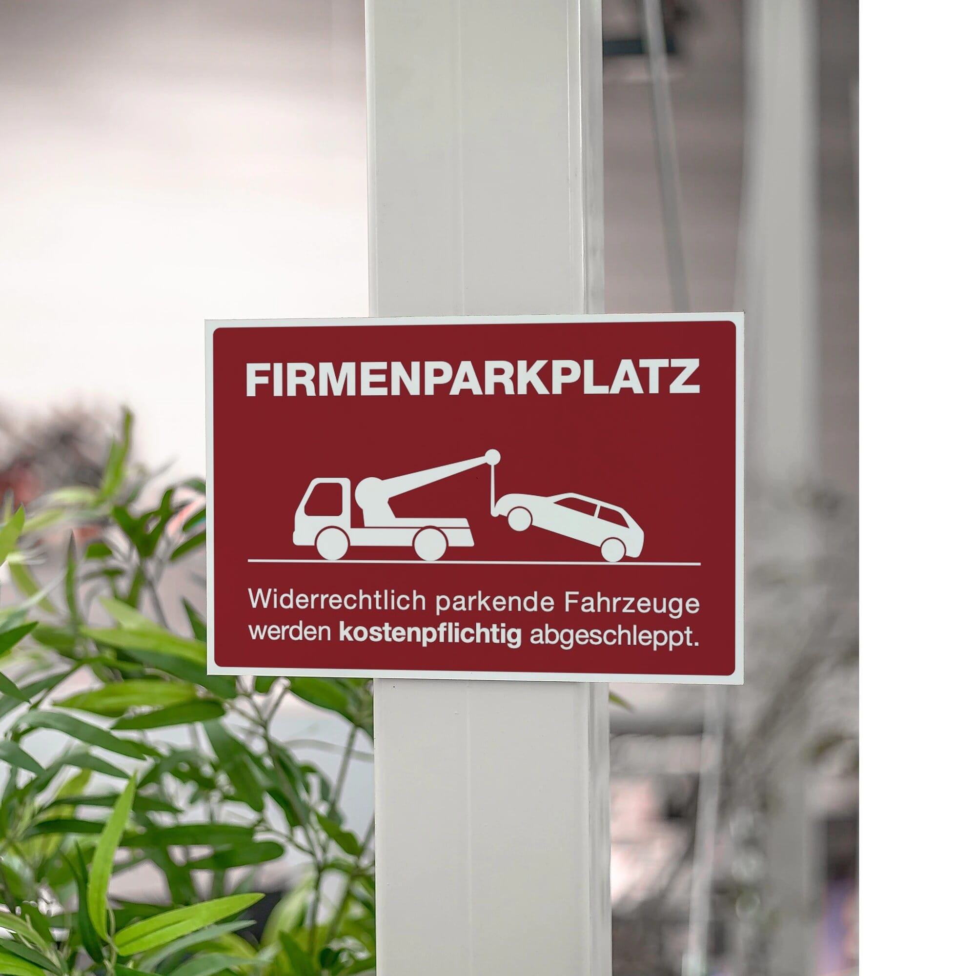 Rotes Alu-Verbundschild für Firmenparkplatz, 200x300 mm, mit Signalrot-Farbe, aufkleberdrucker.de.