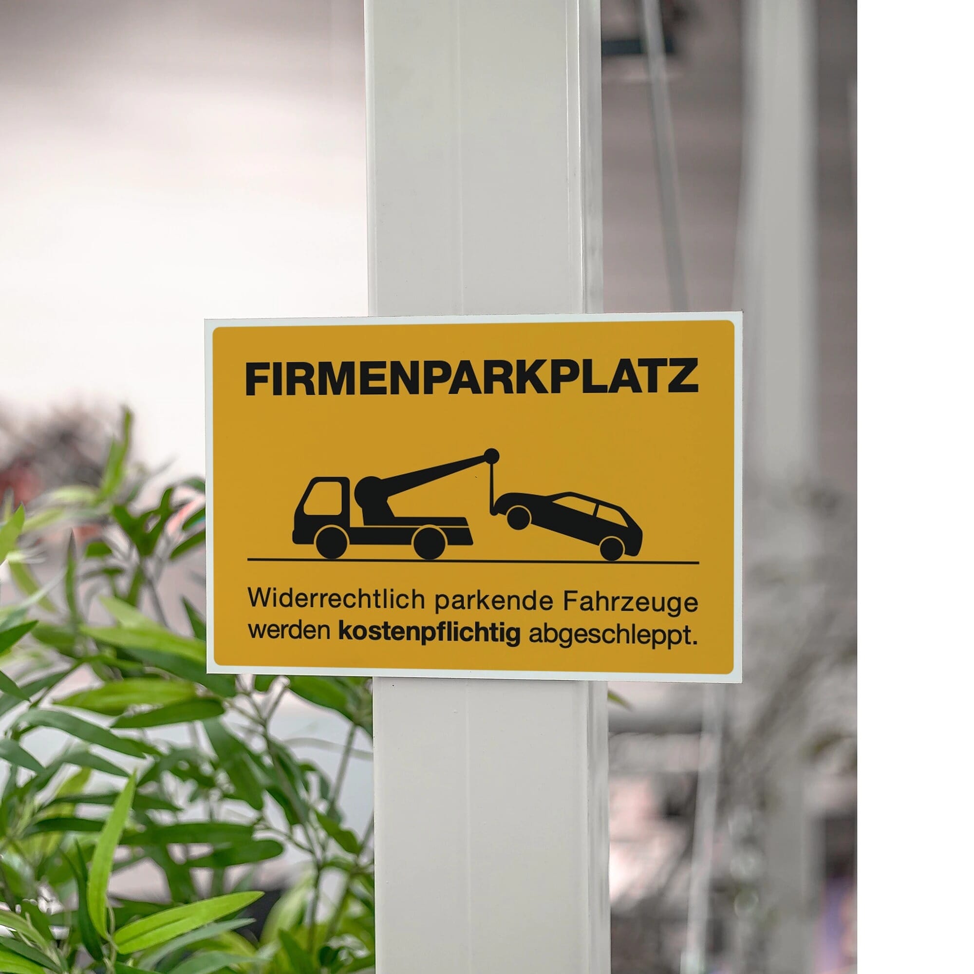 Schild Alu-Verbund Firmenparkplatz in Signalgelb, 200x300 mm, mit Aufkleberdrucker.de Logo, zeigt Parkplatzbeschilderung